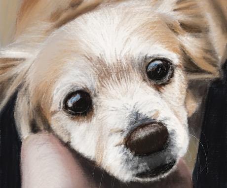 大切なペットさんの肖像画を描きます かわいいペットさんをリアルに表現 イメージ2