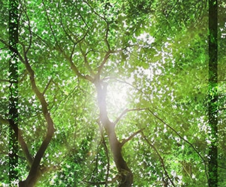 今のあなたを応援するアロマをお伝えします 精油(植物)のスピリットからのメッセージも受け取ります イメージ1