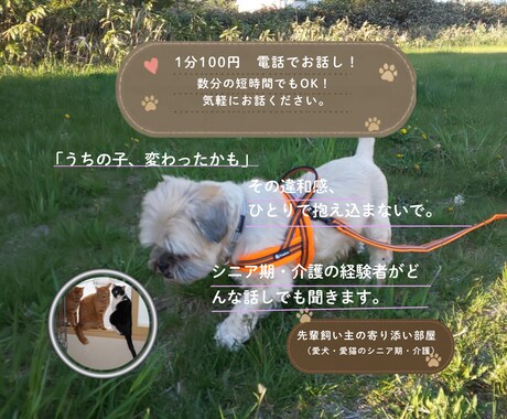 愛犬愛猫を看取った経験者がシニア期の不安聴きます シニア期・介護の不安や本音…一人で抱え込まずお話しください イメージ1