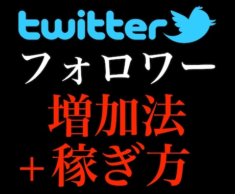 Twitterフォロワー増加法+稼ぎ方教えます ゼロからTwitterのフォロワー増やして集客しよう！ イメージ1