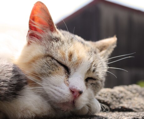 なんでも話してください！悩みや愚痴を伺います 家族や友人に話しづらいことはないですか？ イメージ1