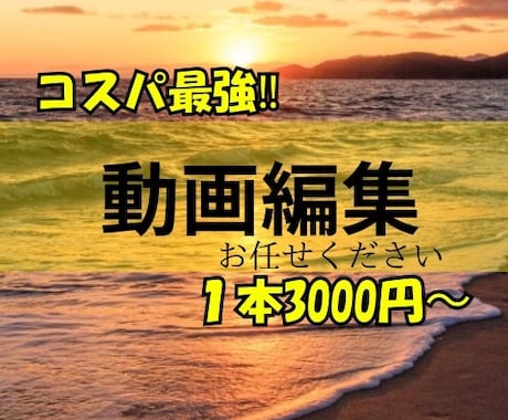 格安で自分のイメージした動画をつくれます 細かいところまで指定できるから作りたい動画が作れる‼︎ イメージ1