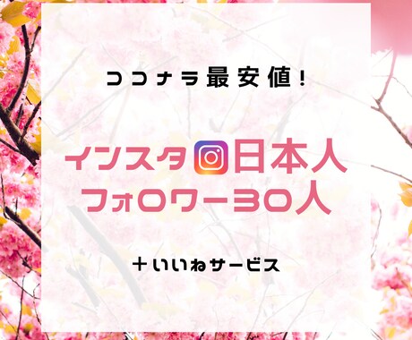 インスタグラム★日本人フォロワーを増やします 日本人30人★アクティブユーザーあり★ イメージ1