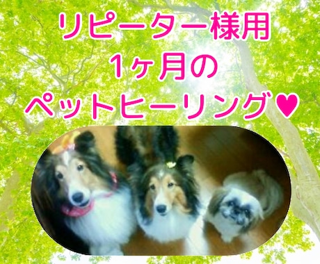 リピーター様用☆1ヶ月のペットヒーリング行います じっくり癒してご機嫌に過ごしましょう☆彡 イメージ1