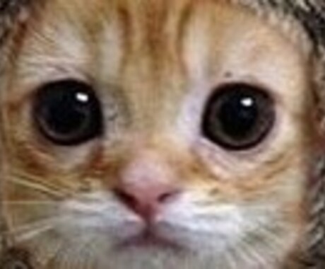 ランキングサイトを※1ヶ月間※クリックします。２サイトまで！ イメージ1