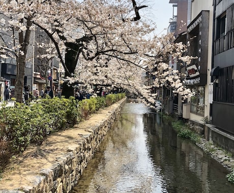 どんなことでも相談に乗ります 誰に相談したらいいかわからない、とにかく話を聞いてほしい方 イメージ1