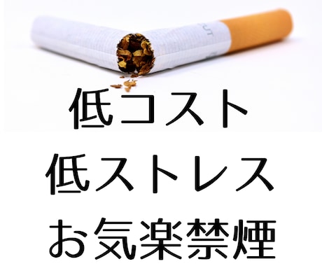 私が禁煙に成功した体験談とそのやり方教えます タバコがやめられないあなたへ！低コスト低ストレスでお気楽禁煙 イメージ1