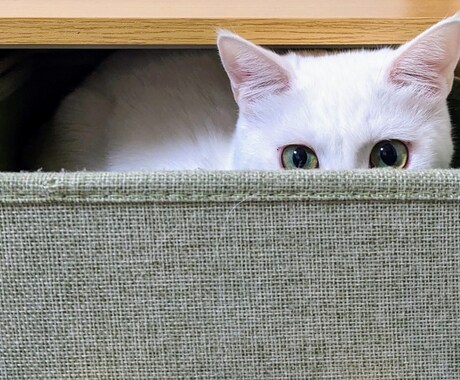 誰にも言えない話お聴きします 絶対に誰にも話せない！それでも誰かに話しを聞いて欲しい！ イメージ1