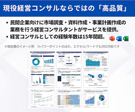 外資系コンサルが新規事業向けピッチ資料を作成します 資金調達を目指すスタートアップ企業や新規事業担当向け作成代行 イメージ2