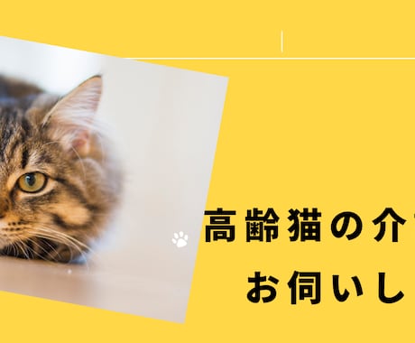 高齢猫の介護のお悩み、ご相談お受けします ​20年の猫飼育経験と専門知識であなたの不安に寄り添います イメージ2