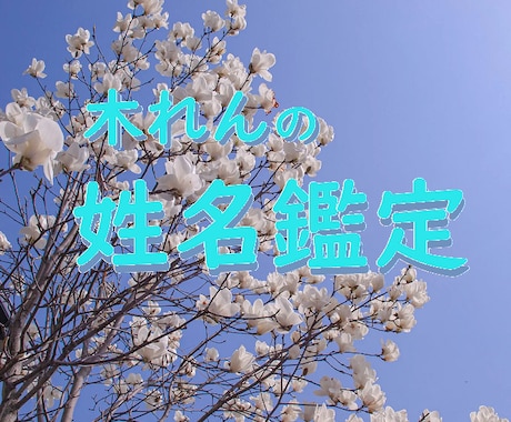 赤ちゃんの姓名鑑定☘️どんな子に育つのか予想します 赤ちゃんの命名でお悩みの方、ぜひお気軽にご相談下さい。 イメージ1