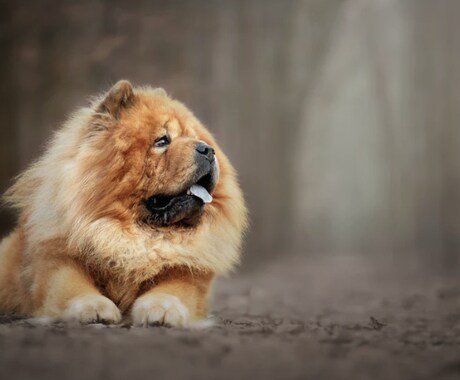 お話し相手♪愚痴聞きます 愚痴でも雑談でもどうぞっ☆彡.。 イメージ1