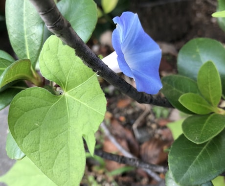 転職・キャリアの悩みに応えます 転職すべきか悩み中、書類・面接対策に四苦八苦中の方へ イメージ1