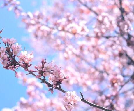 なんでも聞きます話します 誰かと話したいけどリア友だとな…私はいかがでしょうか？ イメージ1