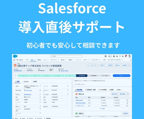 Salesforce導入直後の不安を解消します 初回限定2000円でサポートします イメージ1