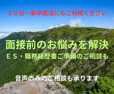 面接で何を話すか、ＥＳに何を書くかを一緒に考えます 新卒・既卒を問いません。就職転職指導歴31年、元新聞記者です イメージ1
