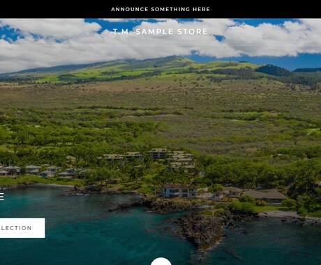 ECサイト、テンプレート作成します 実績掲載許可必須、ShopifyでECサイトを作ります。 イメージ2
