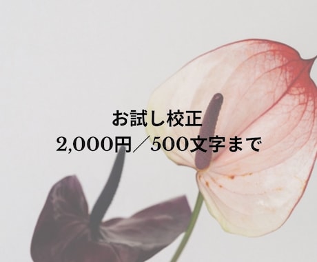 文章を自然で読みやすく整えます SNS・プロフィール文対応可能です イメージ1