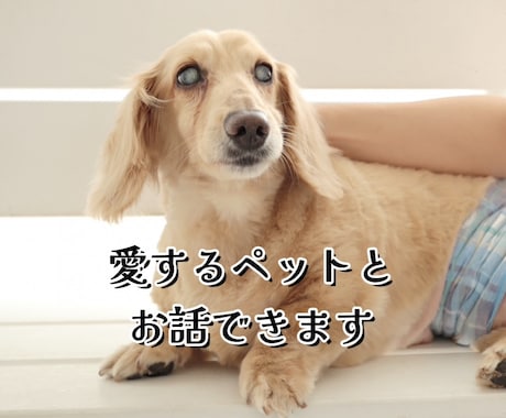 愛するペットとお話できます 愛するペットと文通してみましょう イメージ1