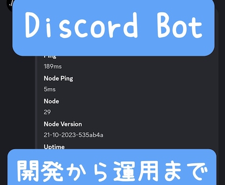 格安！Discord Botの開発〜運用をします 信頼できる複数実績で完璧にサポートします！ イメージ1