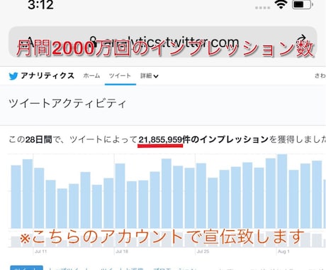 Twitterツイート1200RT以上拡散します いいね・リツイート共に1200以上拡散。※全員日本人（X） イメージ2