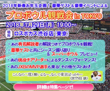 月間30万PVブログに広告します ピンポイントで効果あり。オプションでバナー画像制作 イメージ2