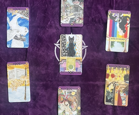 神秘的な猫がタロットで恋のアドバイスをします オッドアイのスフィンクスがタロットで恋の行方を占います。 イメージ2