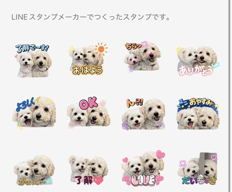 あなたのペットでLINEスタンプ作ります 毎日使いたくなるうちの子スタンプ イメージ2