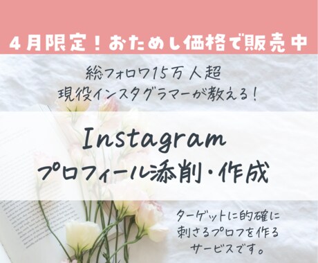 Instagramのプロフィールを添削・作成します ほんの少し変えるだけでターゲットに刺さるプロフィールが作れる イメージ1