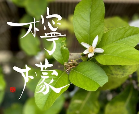 筆文字のデザイン力と書道の技術を活かして制作します ひとつ格上の筆文字を目指します イメージ2