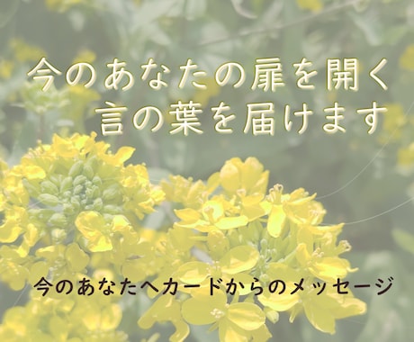 今のあなたの扉を開く言の葉を届けます 今のあなたへカードが紡ぐメッセージを贈ります イメージ1