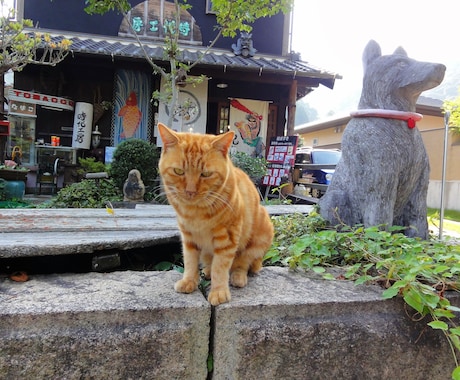 あなただけの旅行プラン作成いたします 旅の“猫の手”も借りたい！そんなあなたのお手伝い☆★ イメージ2