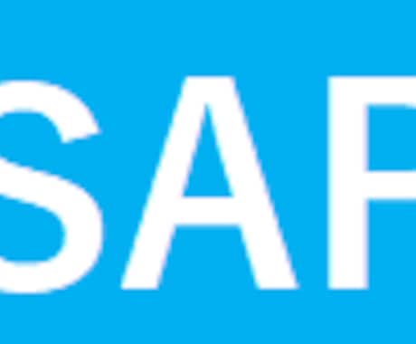 SAPのFIとExcelのよろず相談承ります SAP暦20年の現役経理パワーユーザーによる問題解決 イメージ1