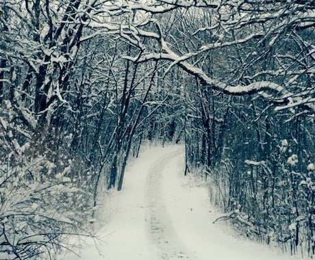 冬の写真ご提供します 【北米ミネソタ州ならではの冬の写真をお届け！】 イメージ2