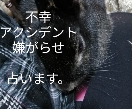 不幸 トラブル アクシデント 悪因の原因占います なぜ自分だけが？納得いかない悪因を占わさせていただきます。 イメージ1