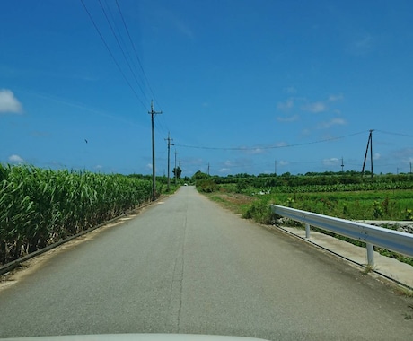 お話・愚痴なんでも聞きます こんなご時世、溜まった不満、愚痴どんどん吐き出しましょう。 イメージ1
