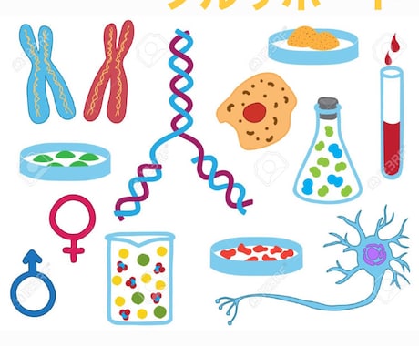 定期考査の勉強サポートをします 高校での定期考査(生物、生物基礎)の勉強を手伝います イメージ1