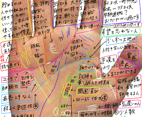 タイムラプス動画で手相鑑定をします わかりやすい動画解説付きです。 イメージ1