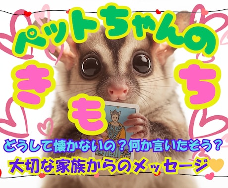 大切な✨ペットちゃんからのメッセージをお伝えします もっと仲良しになるヒントを✨タロット✖霊視で教えます✨ イメージ1