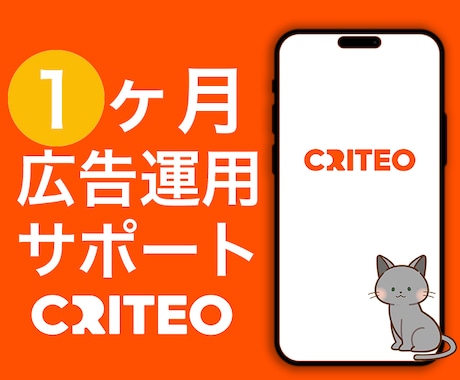 Criteo広告1ヵ月運用代行します 広告代理店出身者⭐︎1ヶ月間サポート付き イメージ1