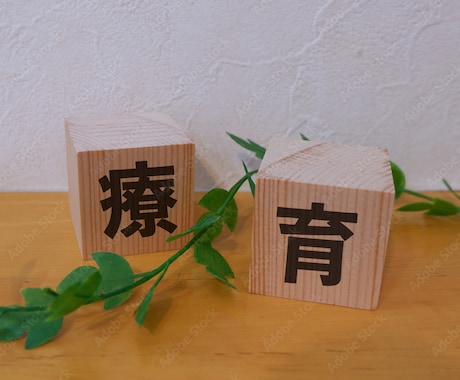 お子さまの特性に合わせた学習支援をお伝えします こどもたちに明るい未来を現役STがお手伝いします イメージ1