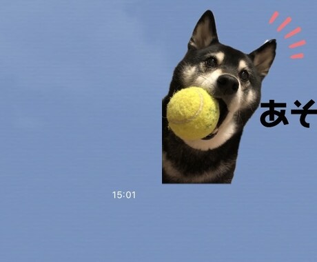 ペットなどの写真でLINEスタンプ作成します 16個で1500円！友人の誕生日などにおすすめ！ イメージ2