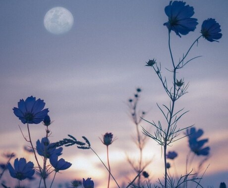 仕事でのアレコレお聞きします お仕事での愚痴や悩み事お聞きします！吐き出しましょう！ イメージ1