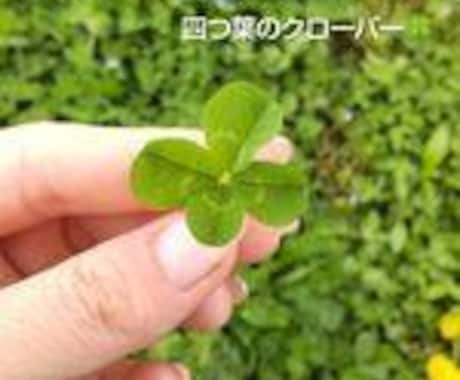 なーんでもお話聞きます 愚痴、恋愛相談、育児相談、人間関係なんでもどうぞ！ イメージ1
