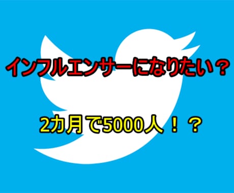 インフルエンサーのなり方を教えます 現役インフルエンサーが徹底的にTwitterを攻略！ イメージ1