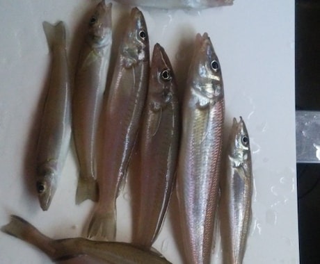 投げ釣りのキャスティングのアドバイスします 目指せ8色超え！ 飛距離向上して釣果を伸ばそう イメージ2