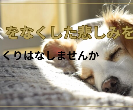 言葉にならない悲しみに、そっと寄り添います ありがとうと言えるまで愛犬を失った悲しみに寄り添います イメージ1
