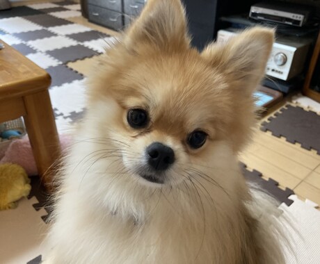 仕事の失敗、愚痴、悩みを普通の会社員がお聞きします 誰にでも失敗はある　人に話して次に進もう イメージ1
