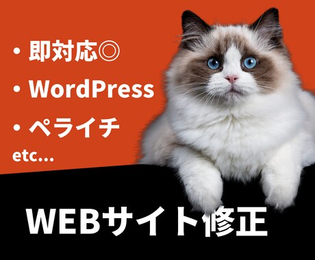 即日対応◎ WEBサイト・HP/LP修正します HTML・CSS、WordPress、ペライチ、BASEなど イメージ1