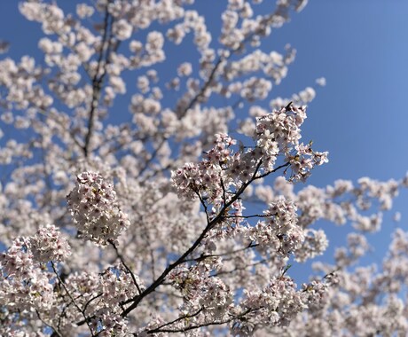 とりあえず聞いて欲しいを叶えます 少しでも溜まったストレスを一緒に発散するお手伝いをします！ イメージ1